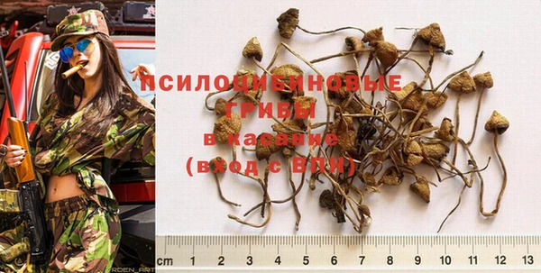 спиды Баксан